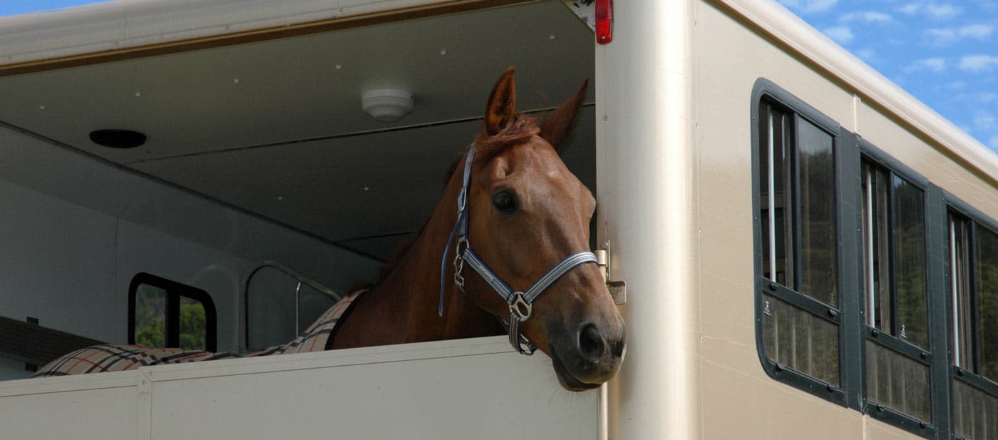 horse-transporters