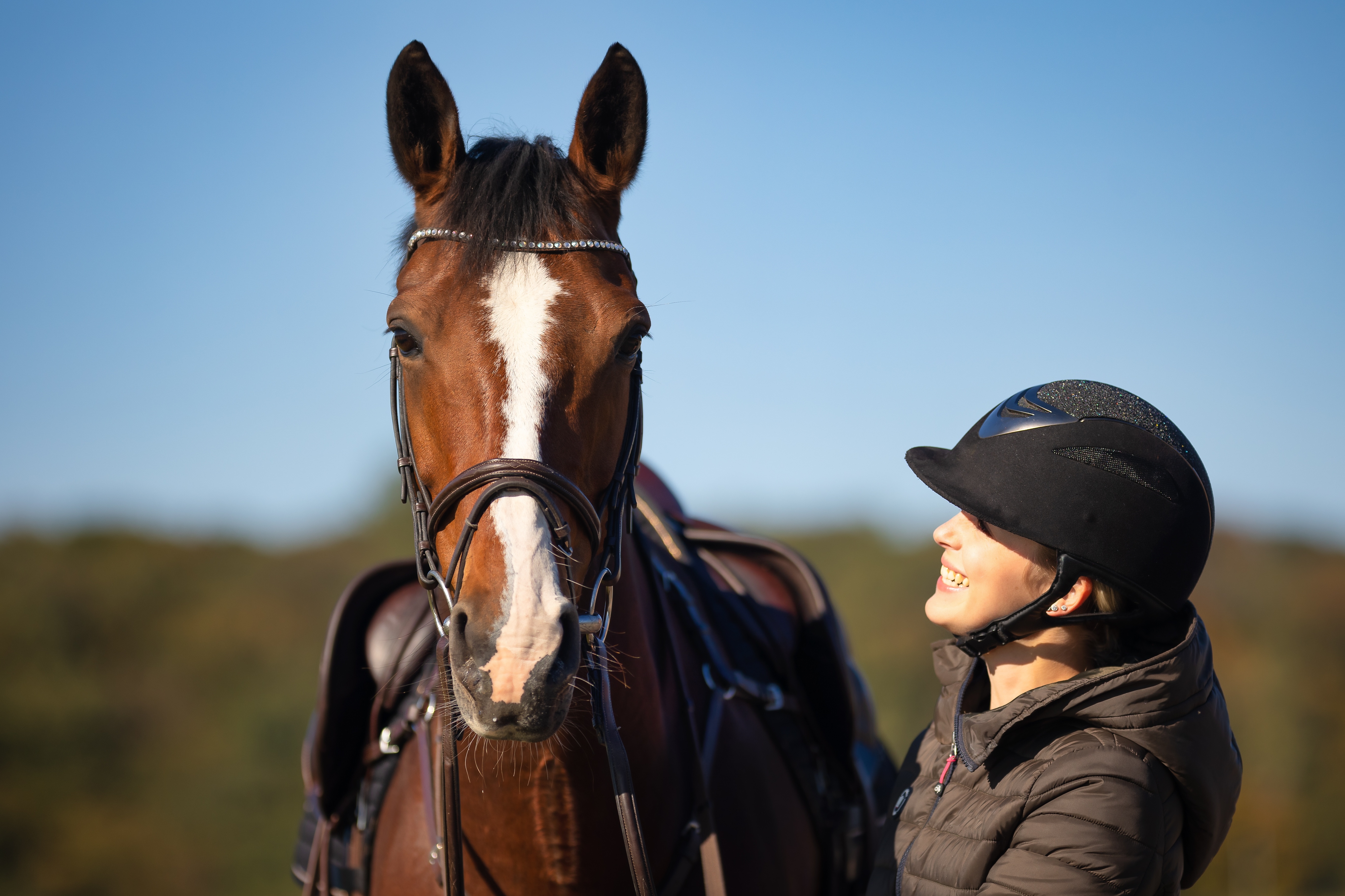 Horse & rider(shutterstock)