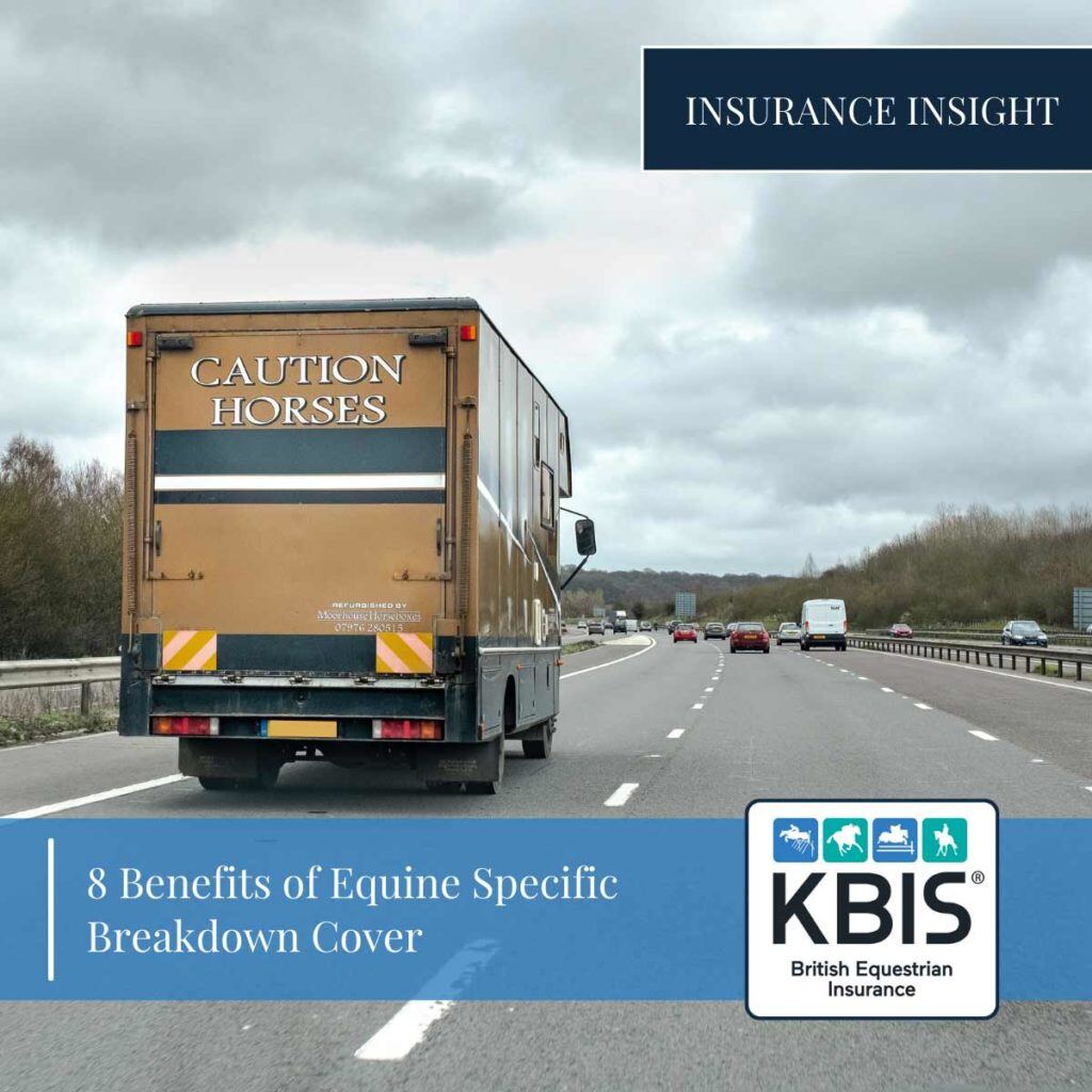 8 Benefits of Equine Specific Breakdown Cover