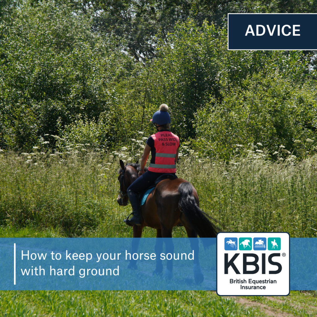 How to keep your horse sound with hard ground