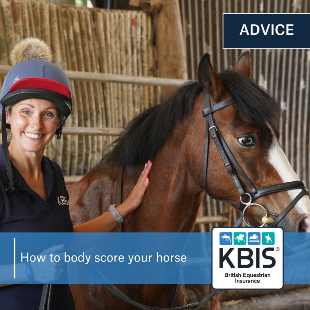 How to body score your horse