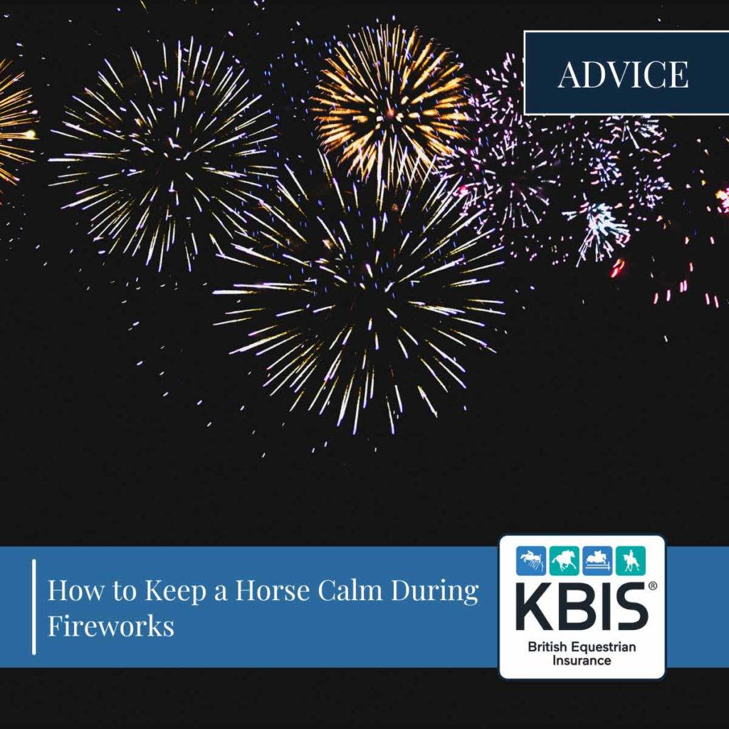 How to Keep a Horse Calm During Fireworks