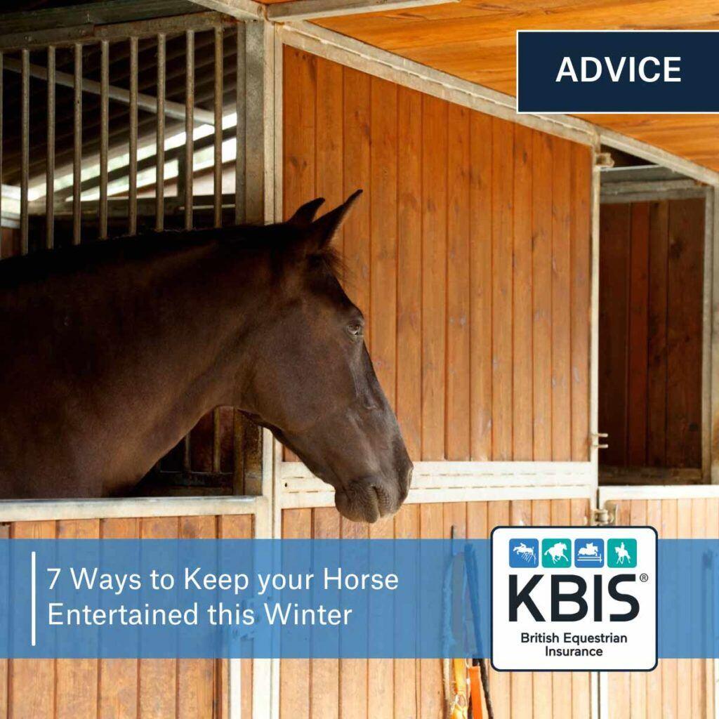 7 Ways To Keep Your Horse Entertained This Winter