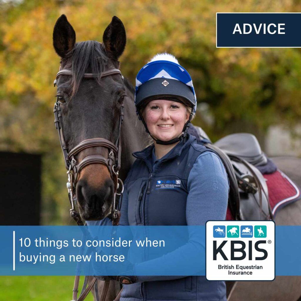 10 things to consider when buying a new horse