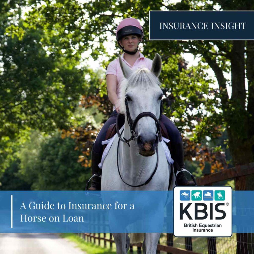 A Guide to Insurance for a Horse on Loan