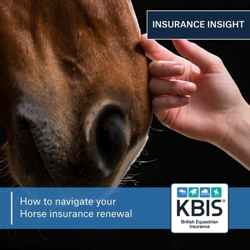 How to navigate your Horse insurance renewal