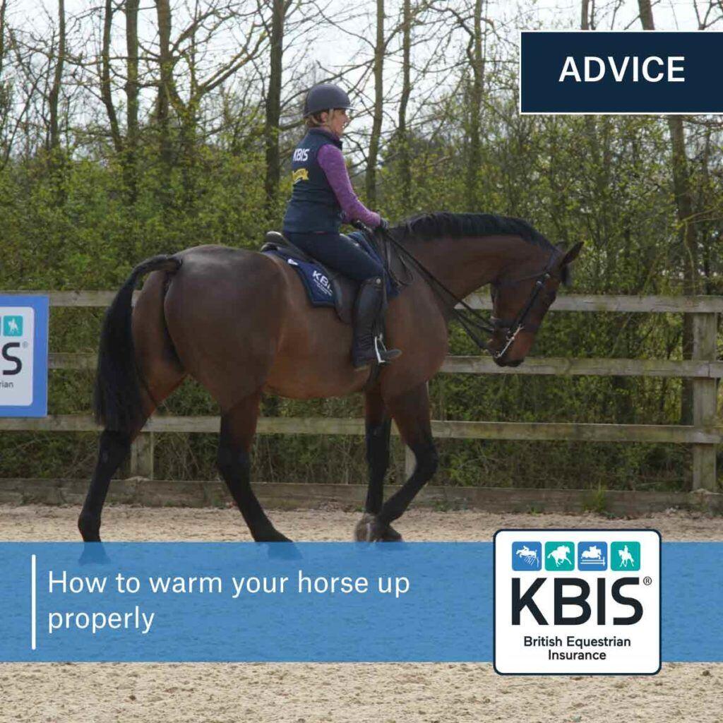 How to warm up your horse properly