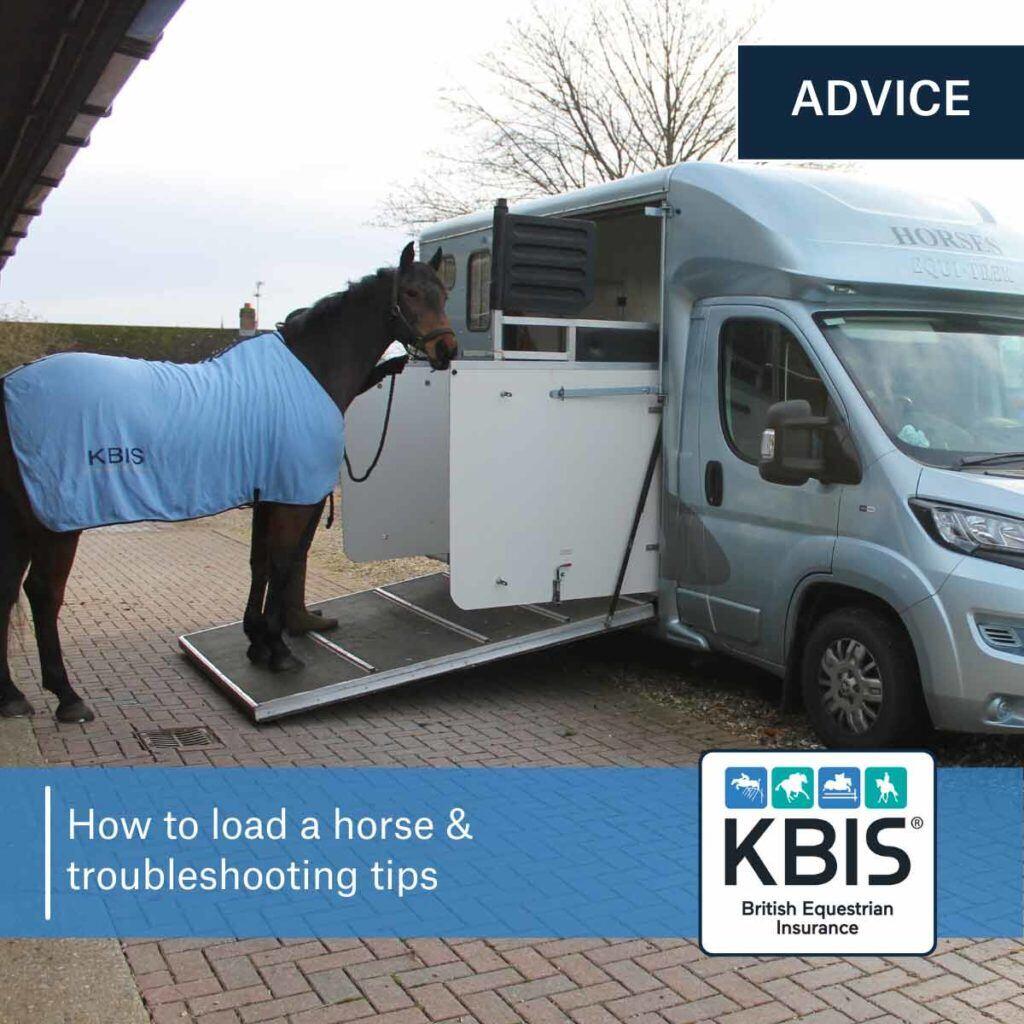 How to load a horse & troubleshooting tips