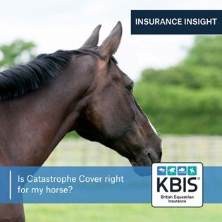 Is Catastrophe Cover right for my horse?