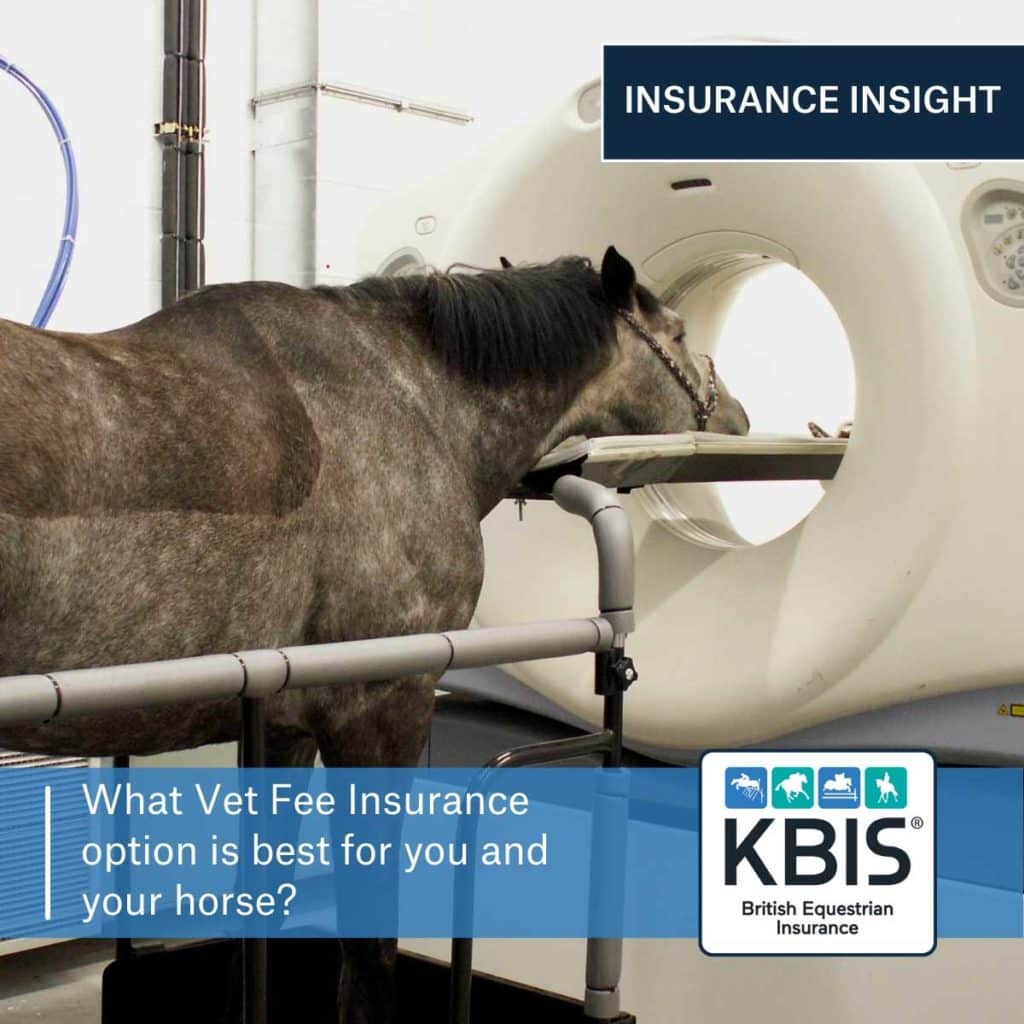 What Vet Fee insurance option is best for you and your horse?