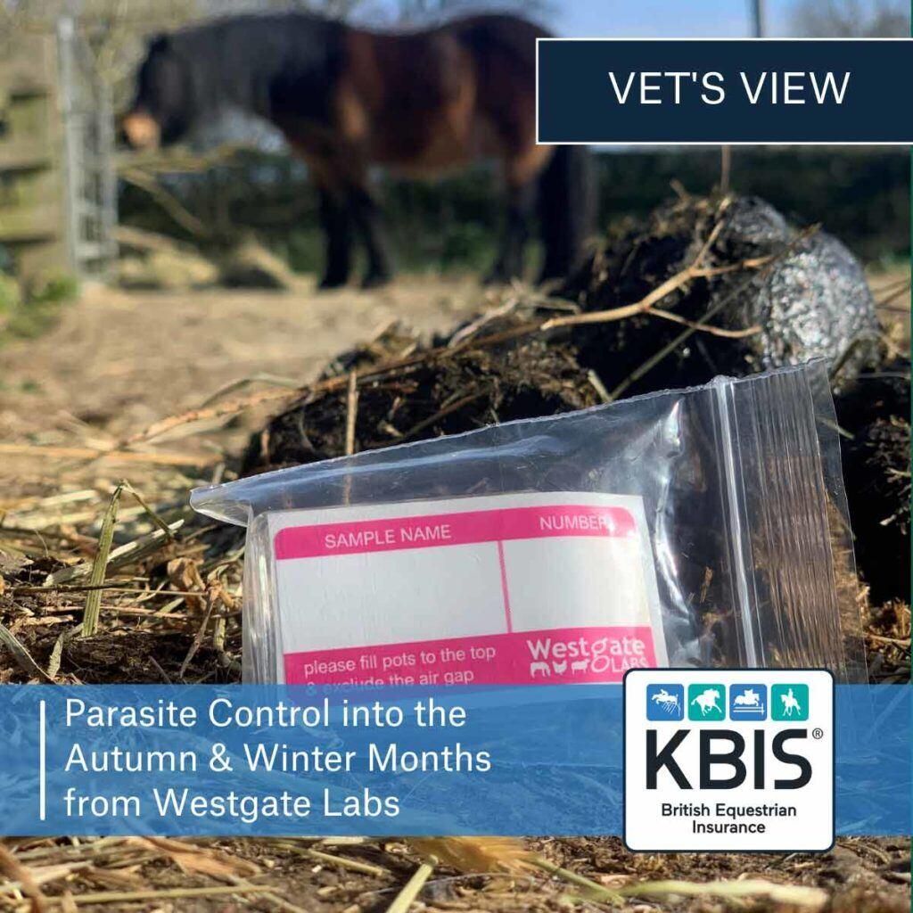 Parasite Control into the Autumn & Winter Months