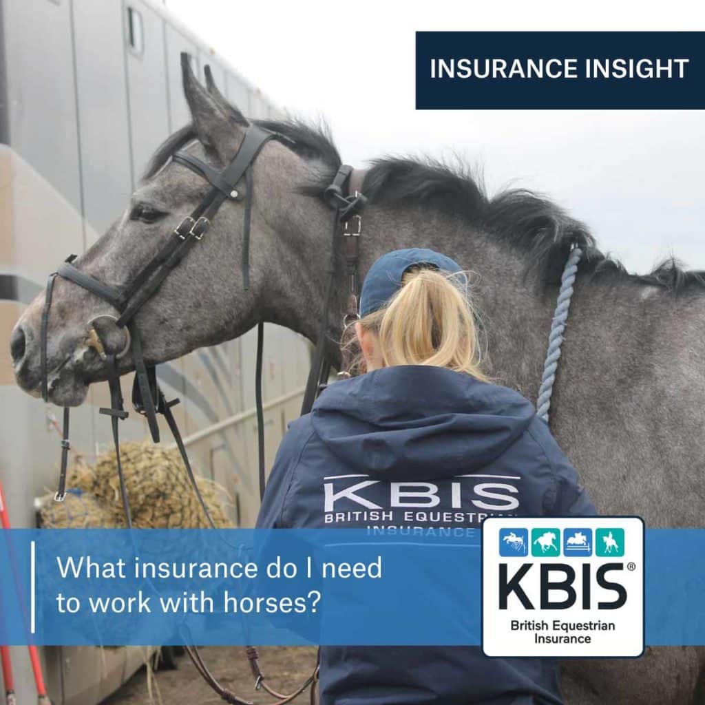 What insurance do I need to work with horses?