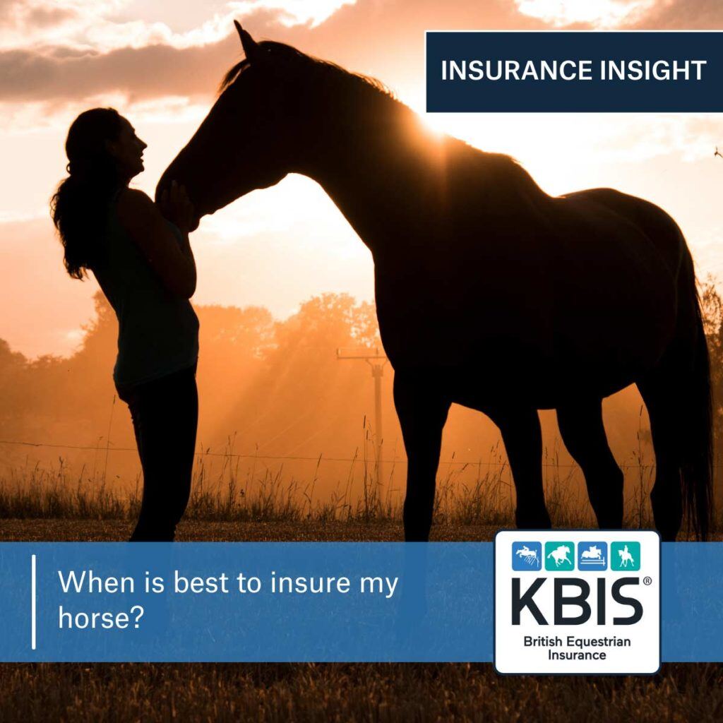 When is best to insure my horse?