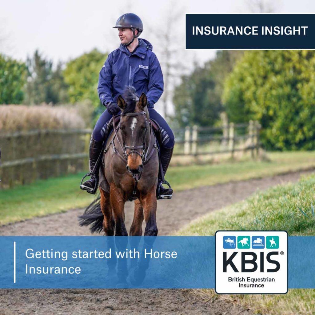 Getting started with Horse Insurance