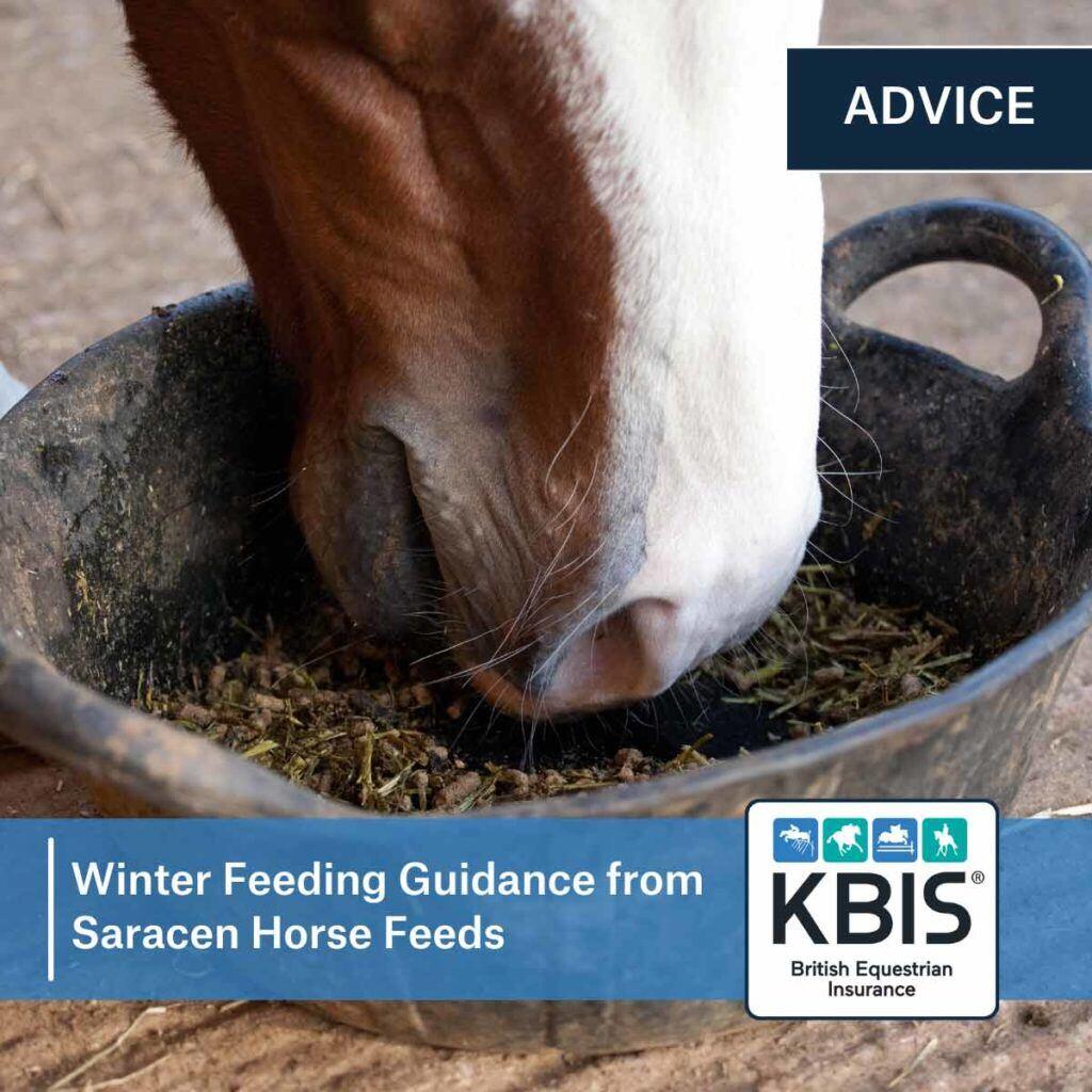 Winter Feeding Guidance from Saracen Horse Feeds