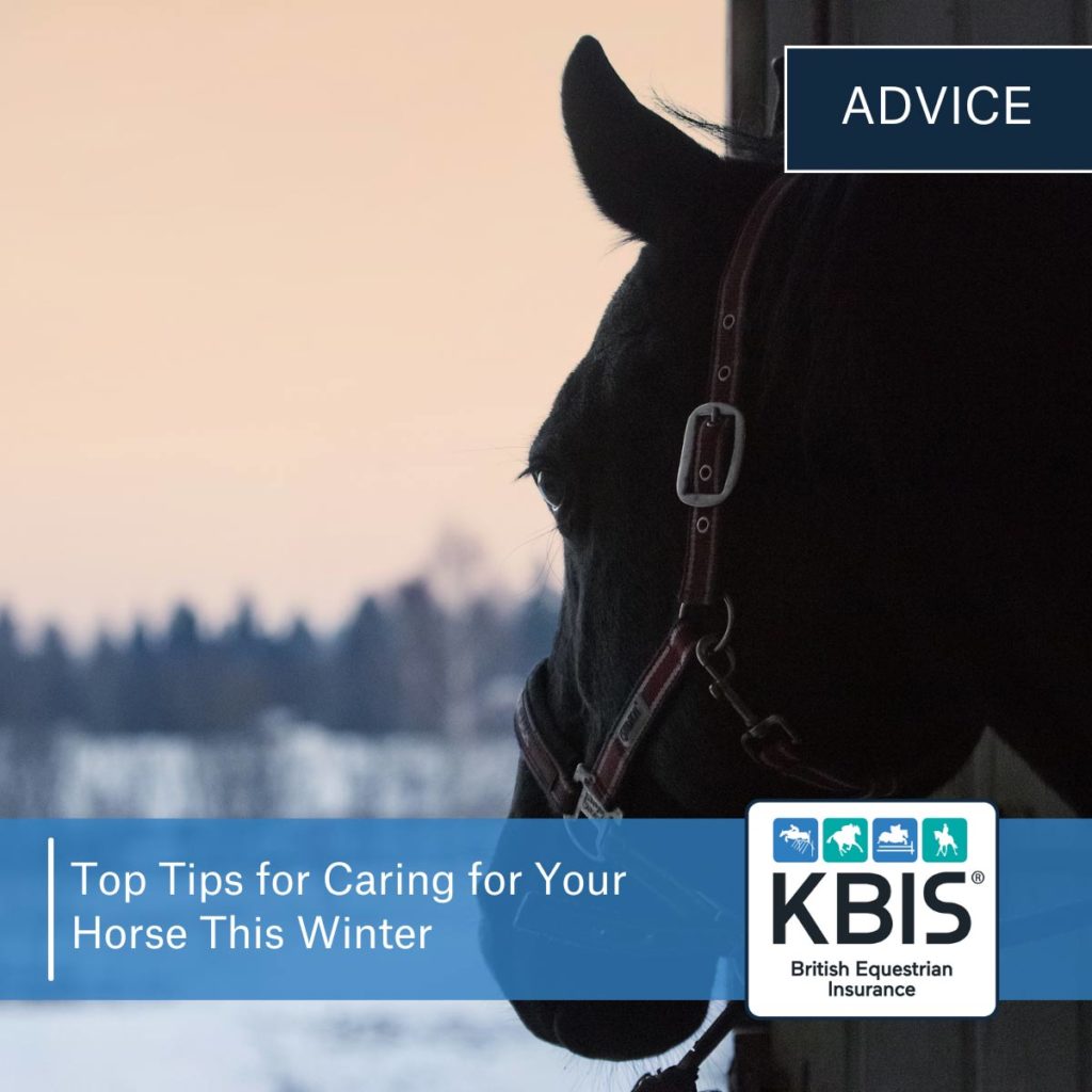 Top Tips for Caring for Your Horse this Winter