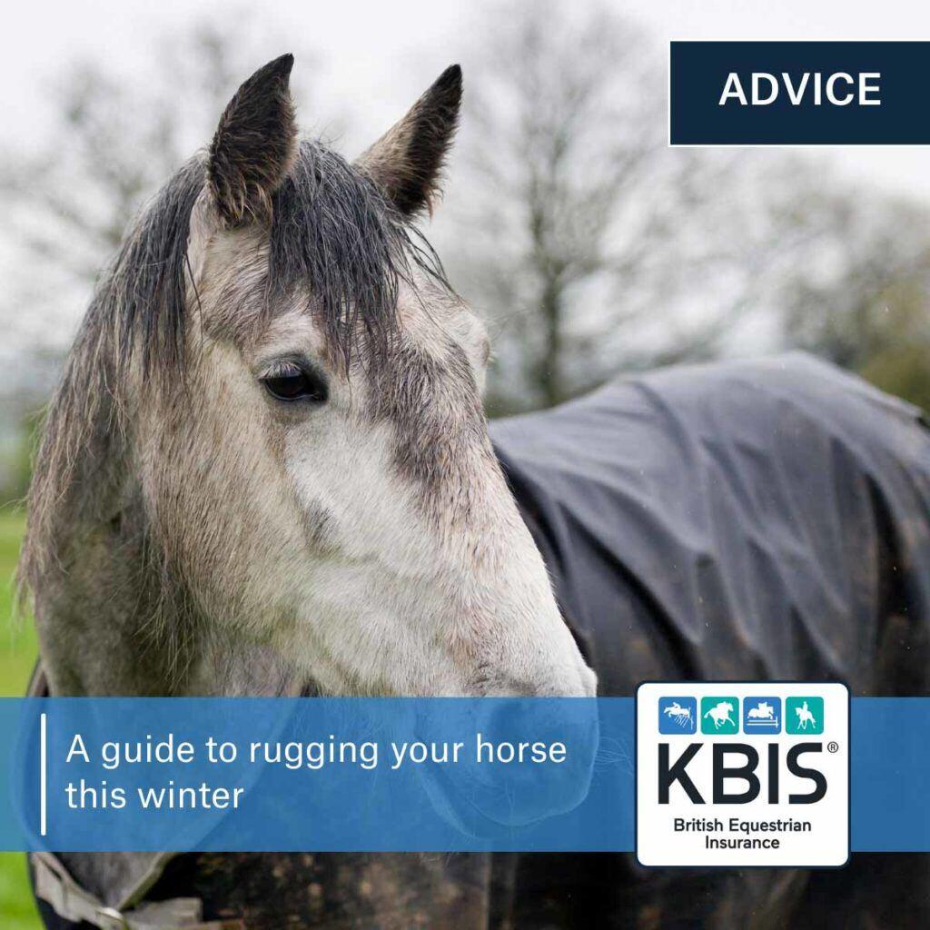 A guide to rugging your horse in winter