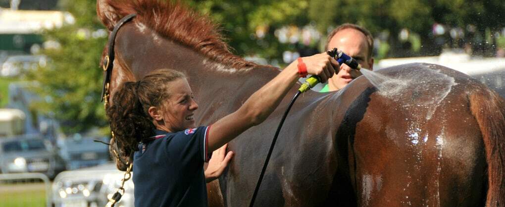 Grooms and Riders