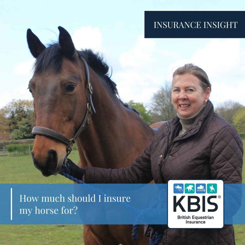 How much should I insure my horse for?