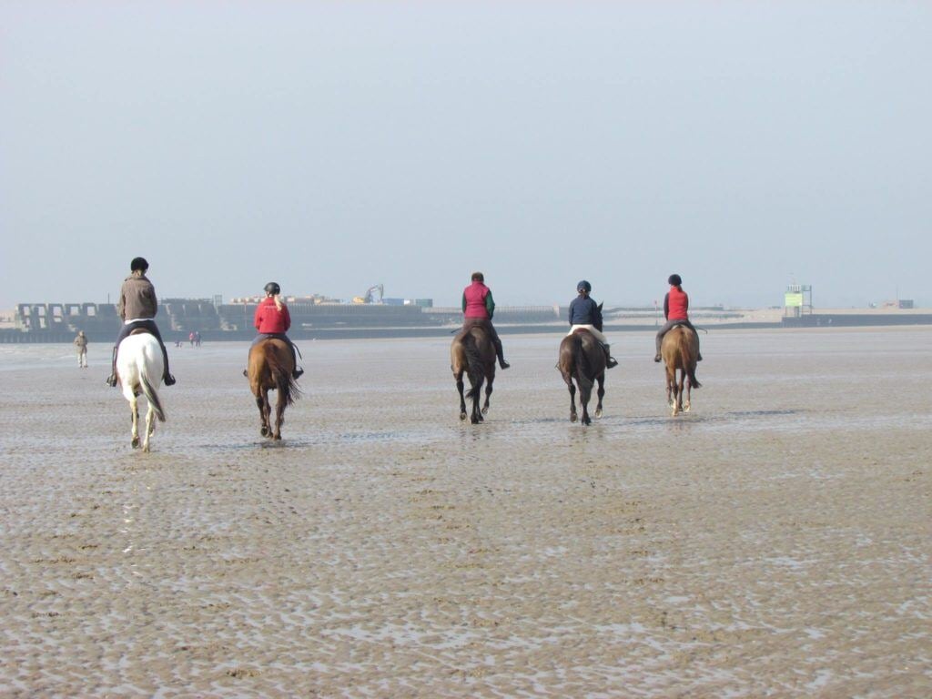 Best Beach Rides For You & Your Horse This Summer