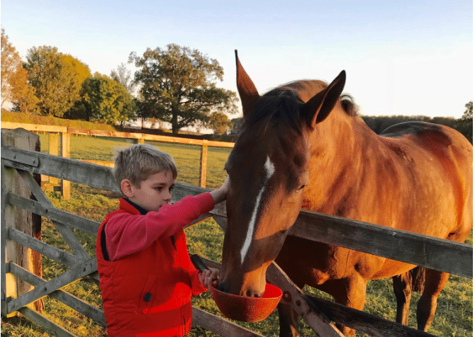 5 tips with Jayne Ross on turning horses out for the winter.