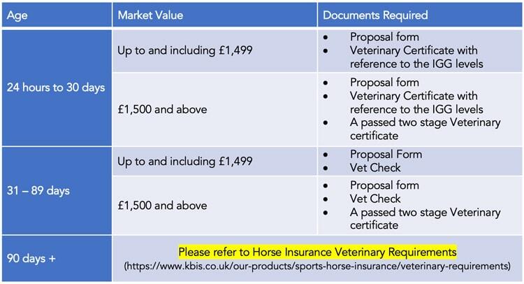 Foal Insurance