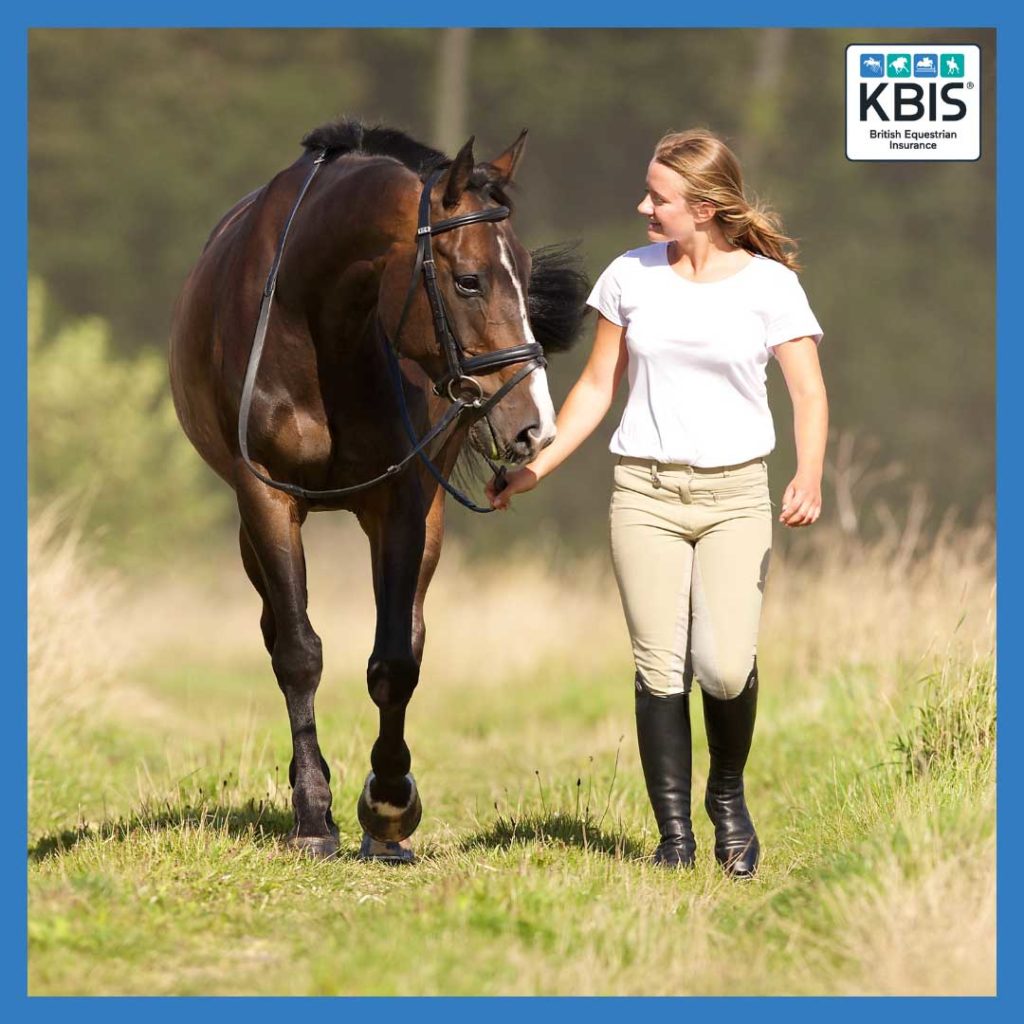 5_ways_to_save_on_your_horse_insurance | KBIS