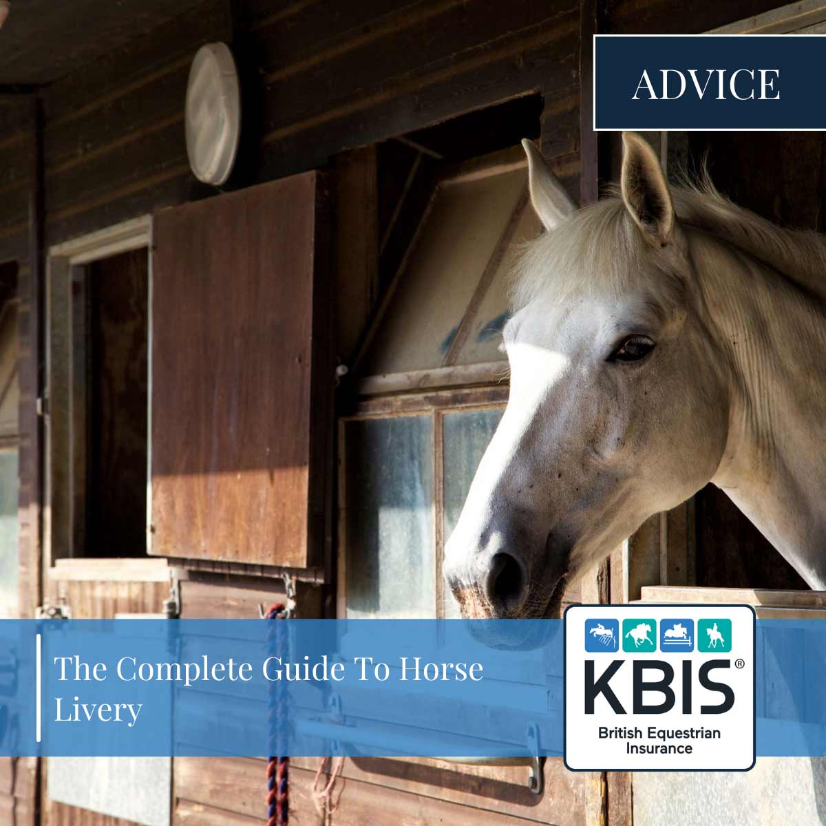 MOWING THE GRASS AND COMPLETING THE HORSE STABLE