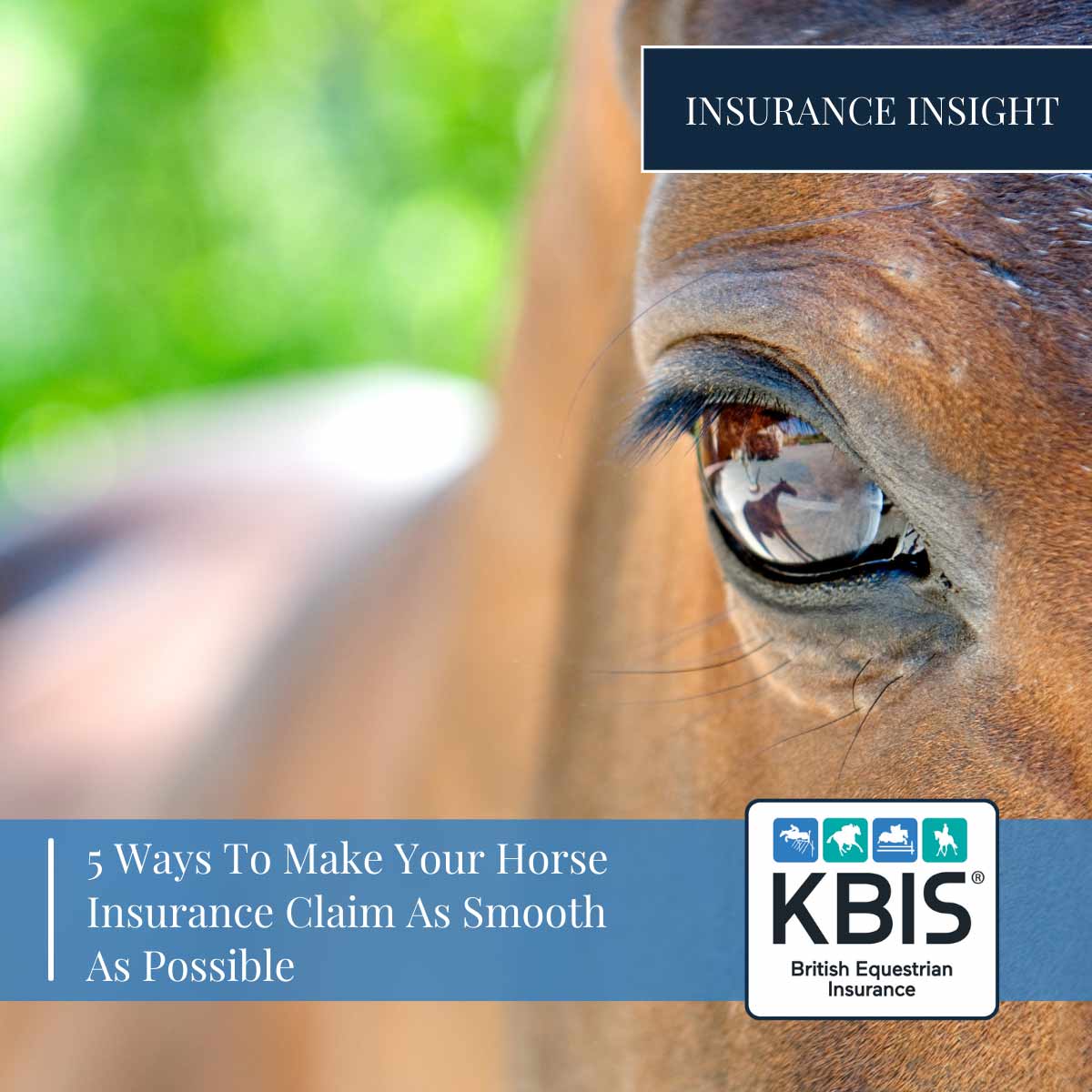 Horse Insurance from KBIS British Equestrian Insurance